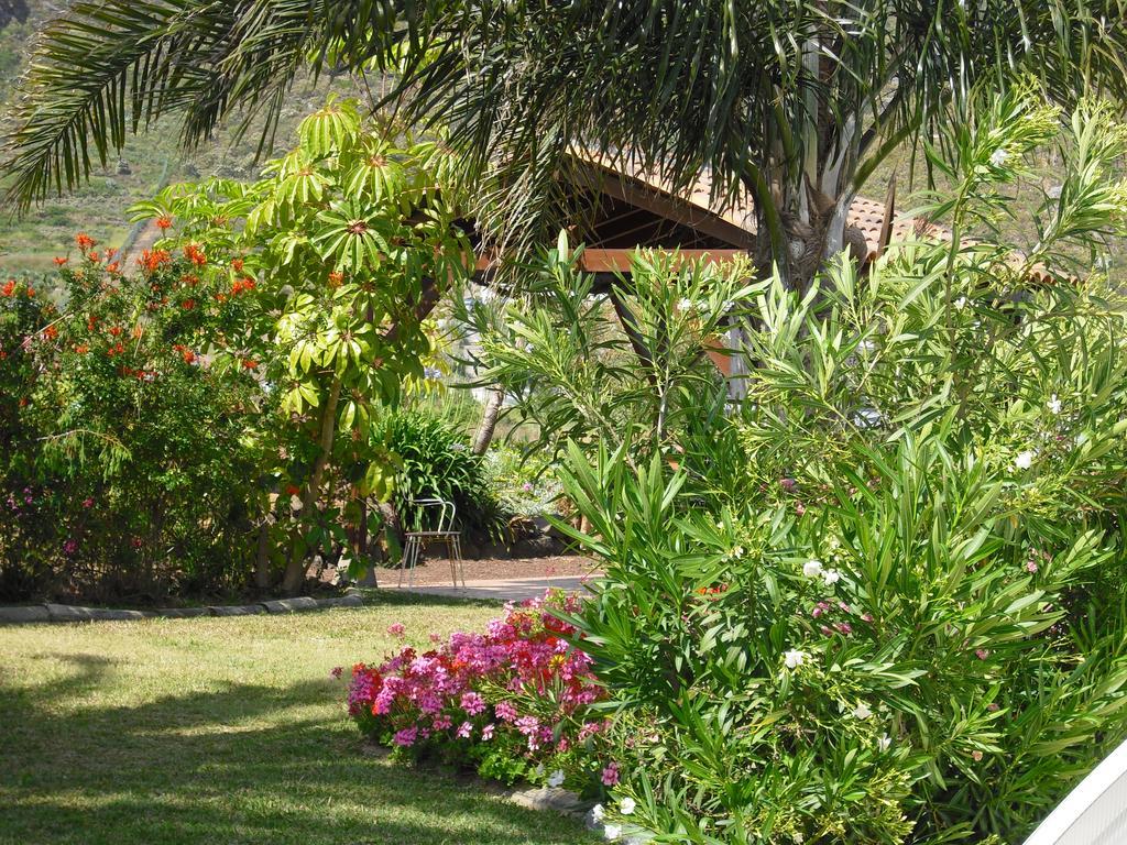 Finca El Picacho Apartments In The Countryside 2 Km From The Beach Tejina Kültér fotó