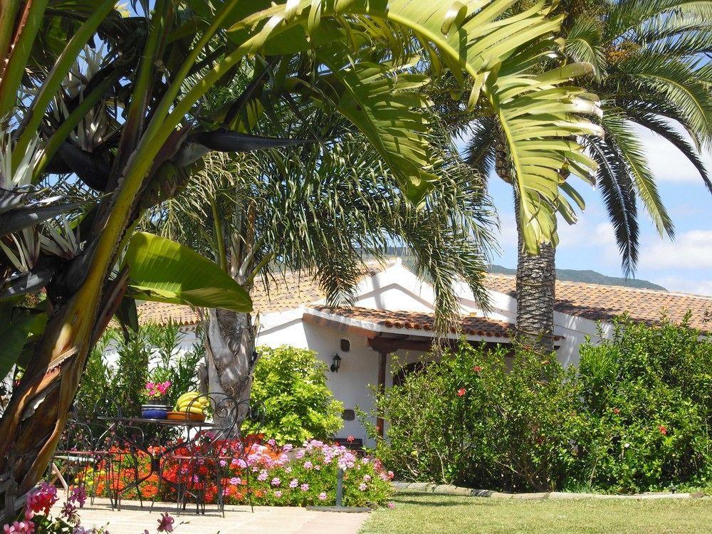 Finca El Picacho Apartments In The Countryside 2 Km From The Beach Tejina Kültér fotó