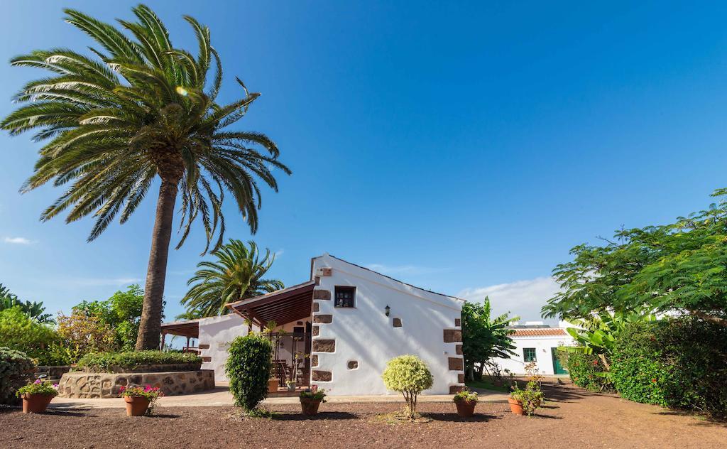 Finca El Picacho Apartments In The Countryside 2 Km From The Beach Tejina Szoba fotó